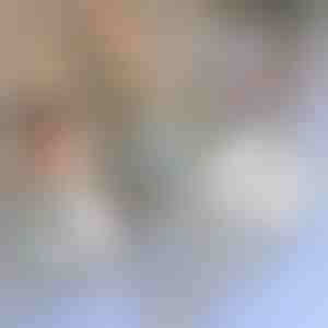 Reparatietape voor muskietennetten | INSECTAPE