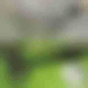 Onkruidwieder | RUNCO