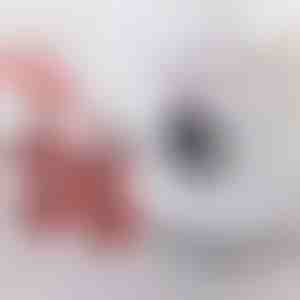 Meubelverhuisset met 4 schuivers en hefboom | LIFTROLLERS