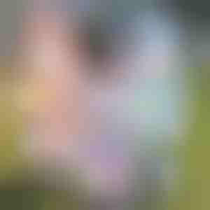 Interactief konijnenspeeltje | BUNNZIC