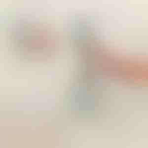 Veiligheidsgreep voor douche en bad | HANDORKA