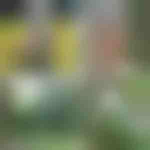 Draagbare douchepomp - Oplaadbaar via USB, 4-5 L/min, 1,5 m slang | HYDROPORT